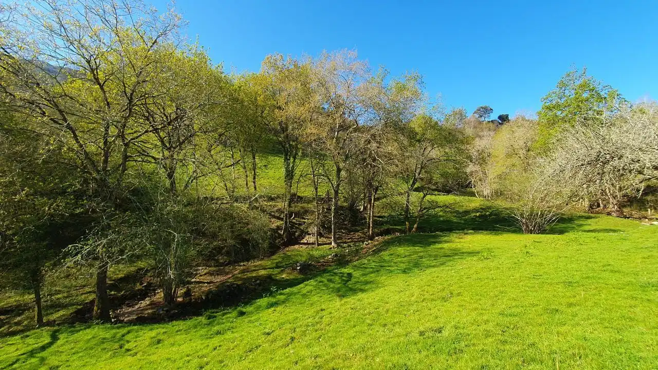 Finca rústica en venta en Llanes