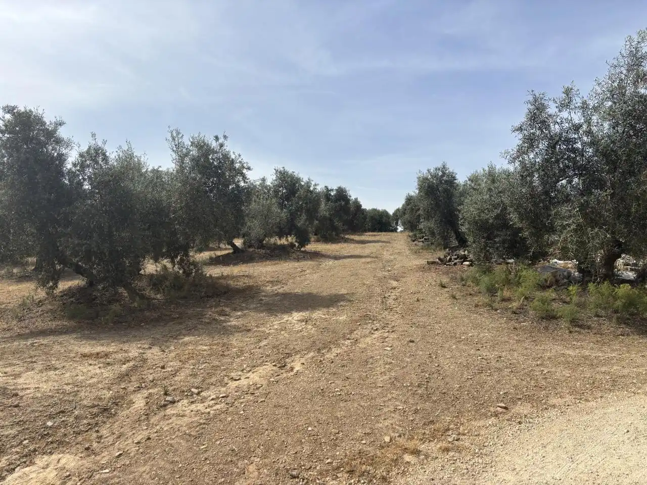 Industrial buildings for sale in Diseminado Poligono 169, 29, Bobadilla - Bobadilla Estación - La Joya
