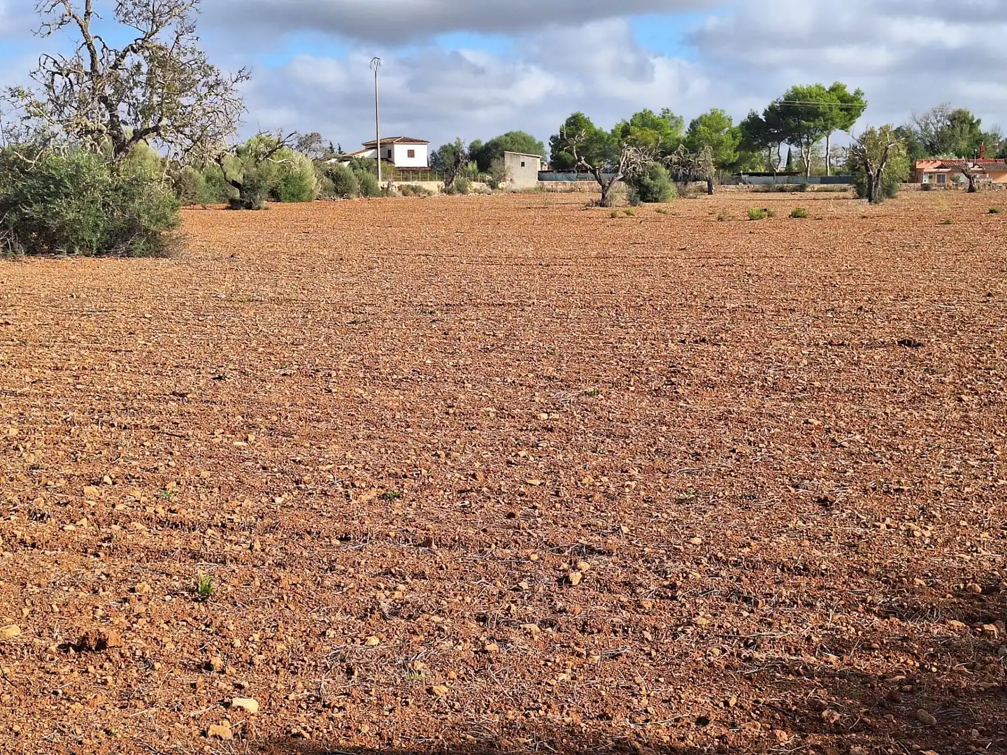 Terreno rustico in vendita a Llucmajor pueblo, imagen 9