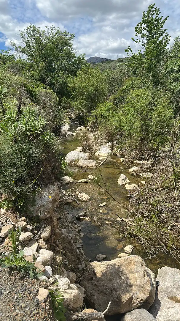 Terreni e lotti in vendita a Periana, imagen 31