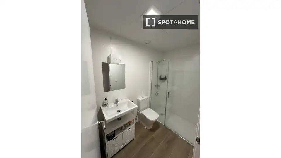 Baño de Apartamento para compartir en Pasaia con Aire acondicionado, Terraza y Amueblado