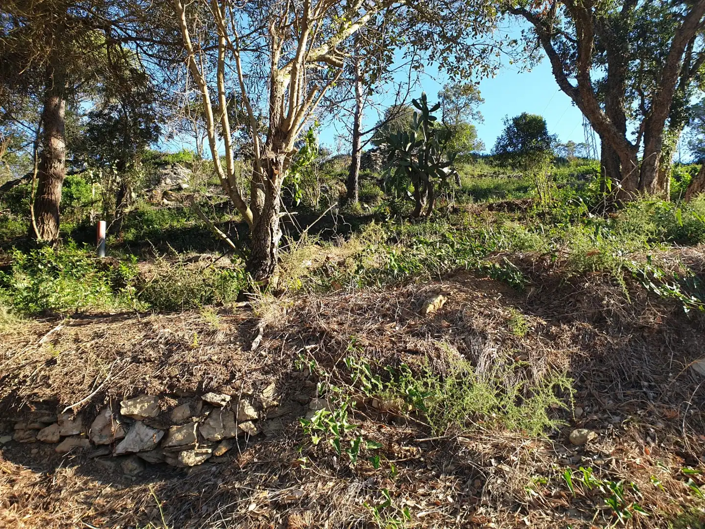 Terrenos y solares en venta en Begur pueblo, imagen 3