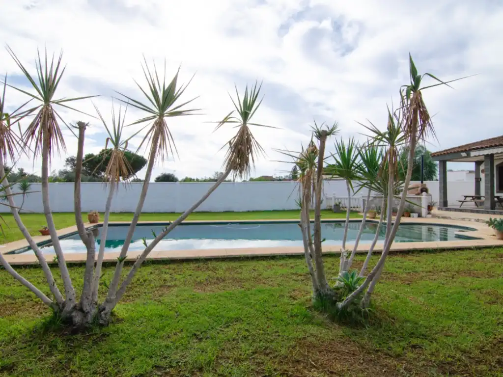Houses for sale in Rinconada