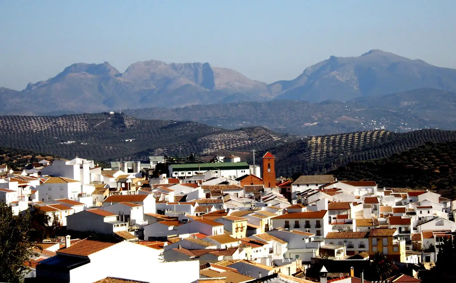 Residential land for sale in Calle de Granada 101, imagen 2