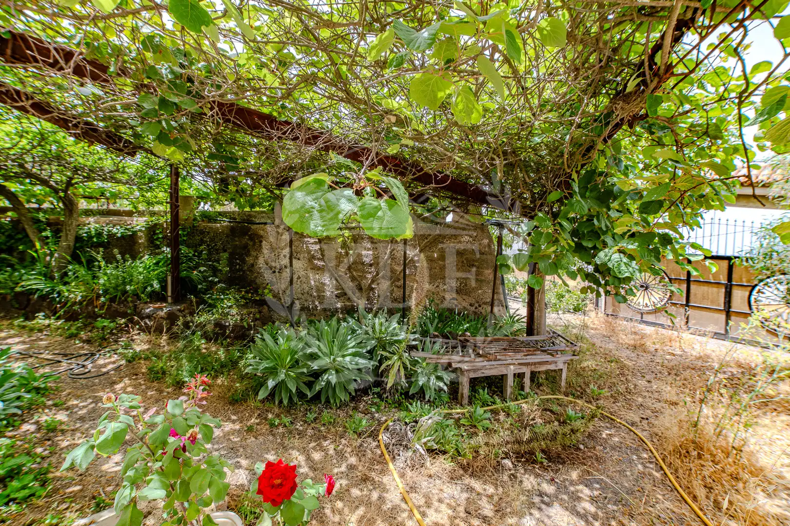 Finca rústica en venda a Calle el Barbecho, Vilaflor de Chasna