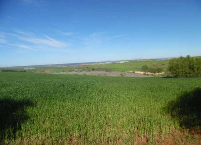 Terreno en Venta en c/ sector urbanizable 3 en Tórtola de Henares