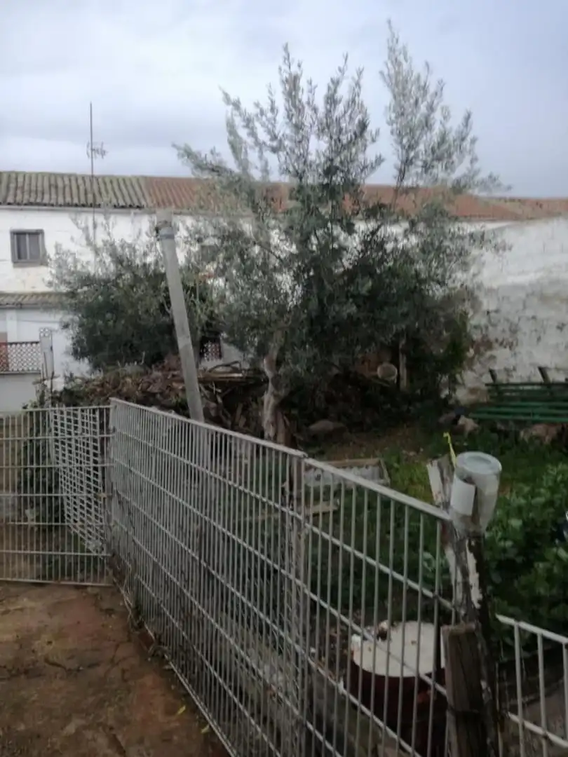Haus mit Garten zum Verkauf in Fuente Obejuna, imagen 5