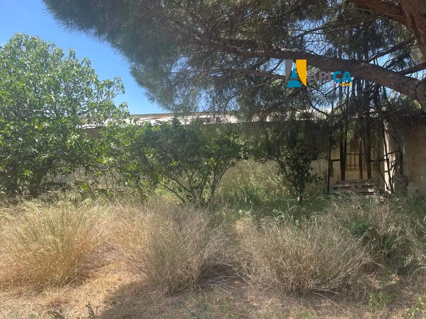 Casa o xalet en venda en Chiclana de la Frontera