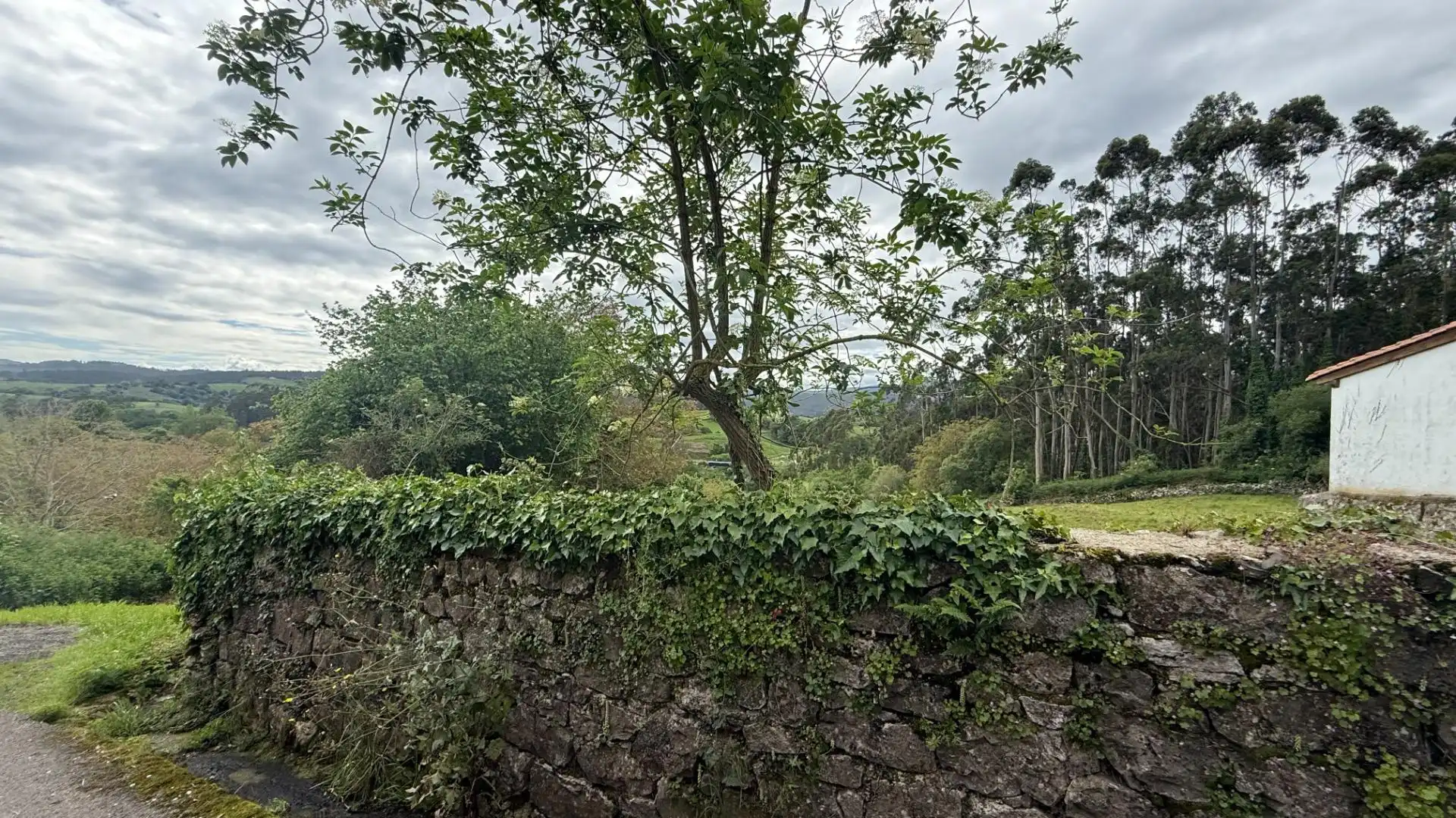 Vista exterior de Terreno en venta en Valdáliga