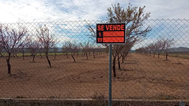Terreno en Venta en CM-4054, 15 en Consuegra