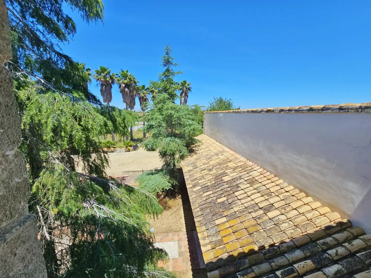 Jardí de Casa o xalet en venda en Elche / Elx amb Aire condicionat, Calefacció i Jardí privat