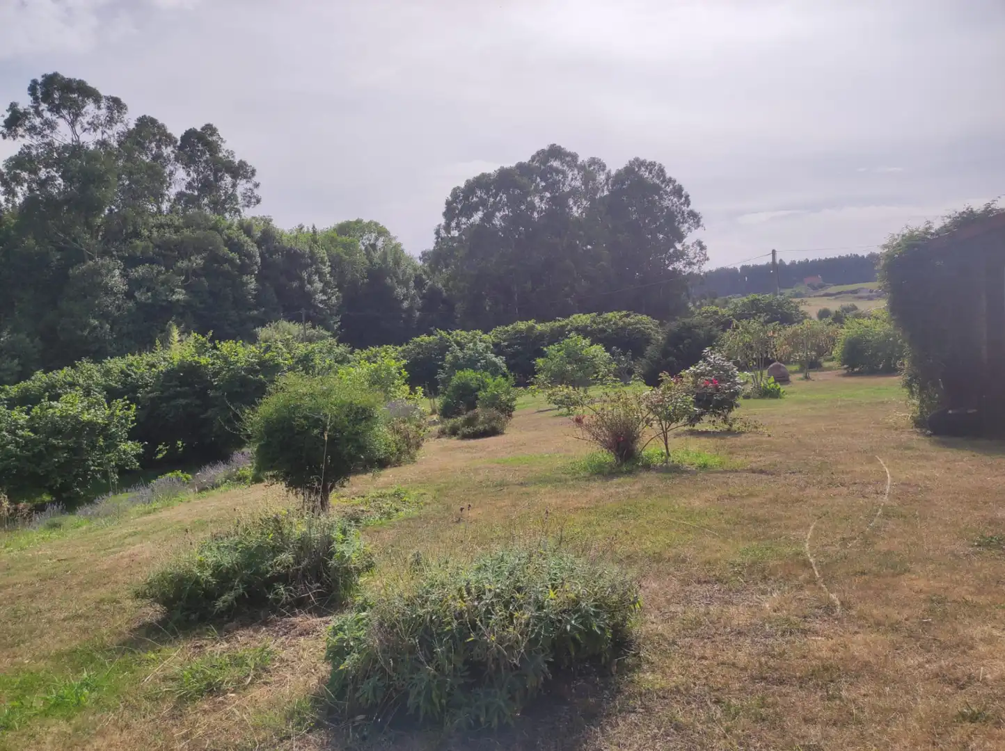 Chalet con jardín en venta en Carretera de la Granda, imagen 60