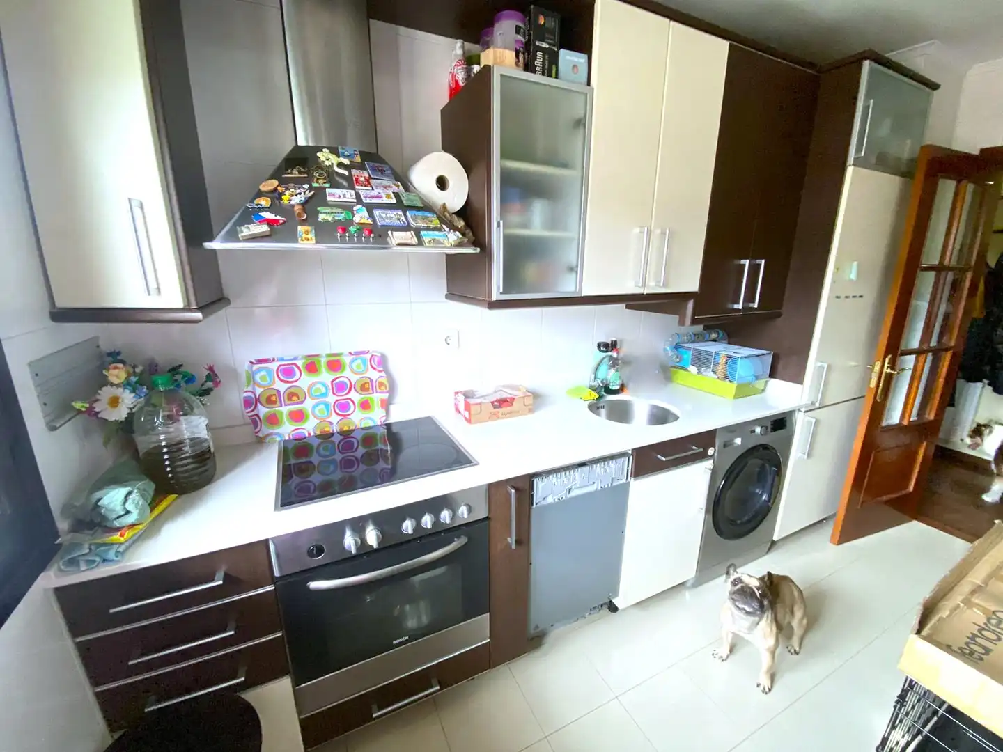 Cocina de Piso en venta en Castro-Urdiales con Calefacción, Jardín privado y Parquet