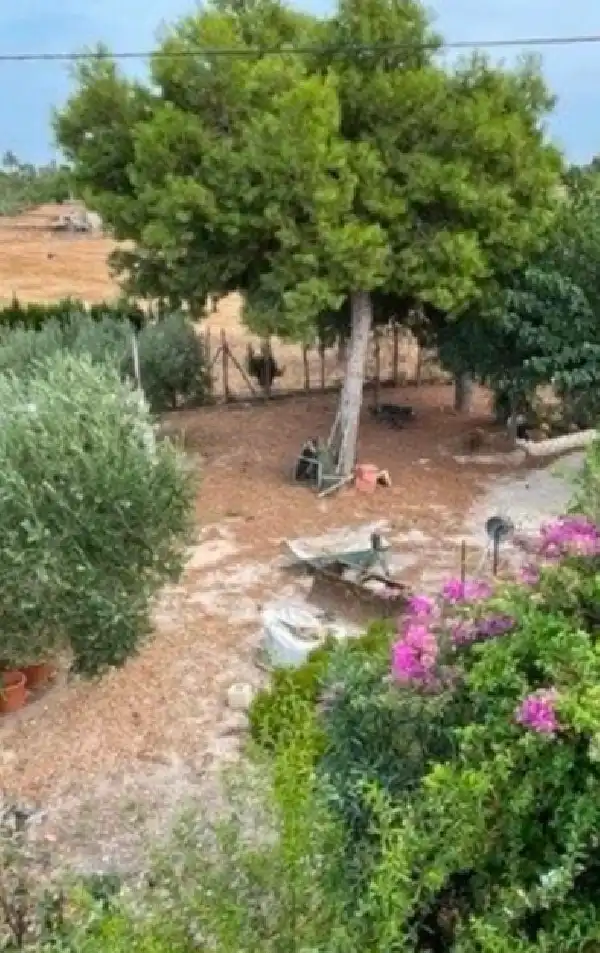 Garden of Houses for sale in Elche / Elx  with Air Conditioner, Heating and Terrace