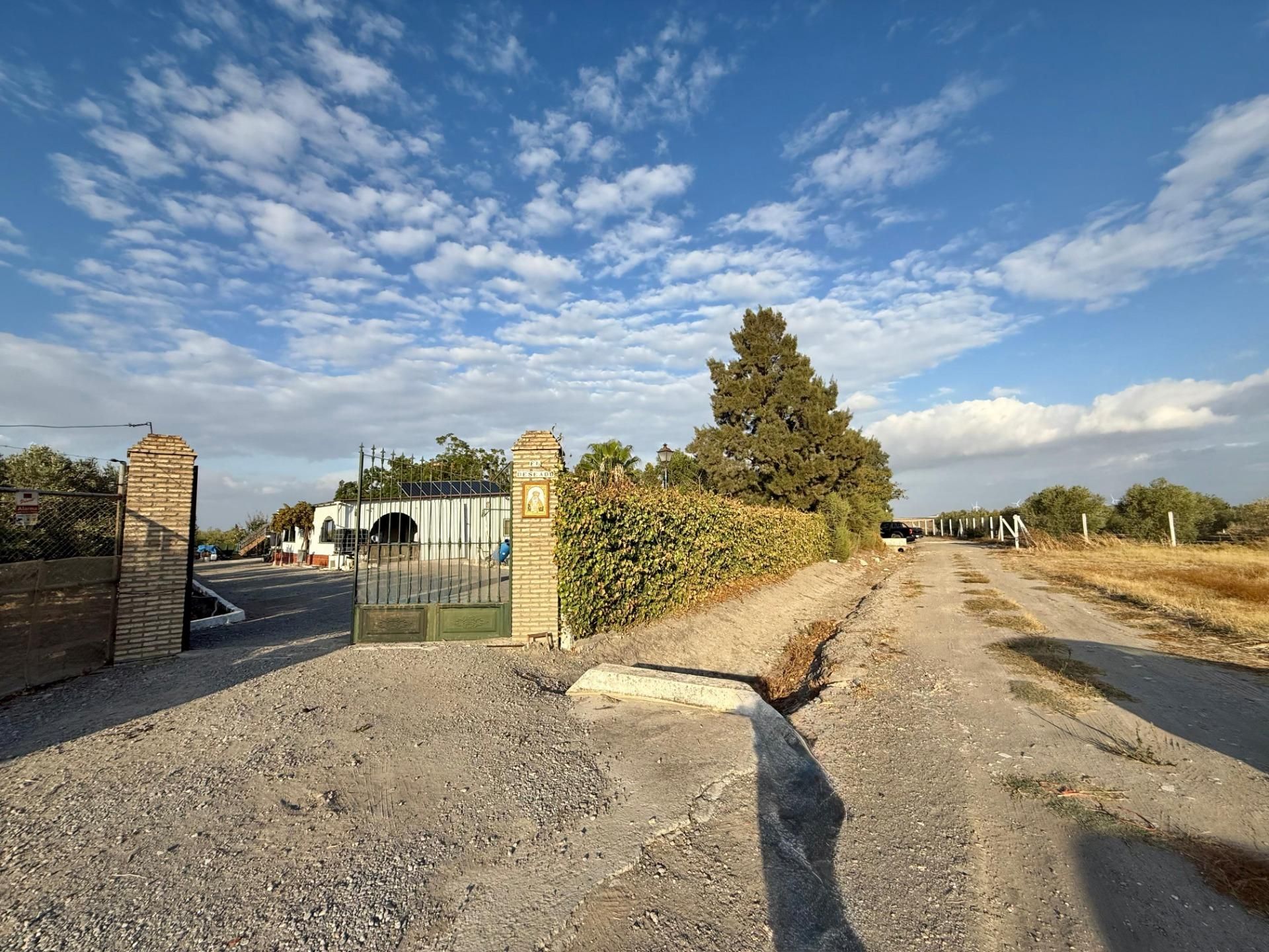 Land for sale in Lebrija