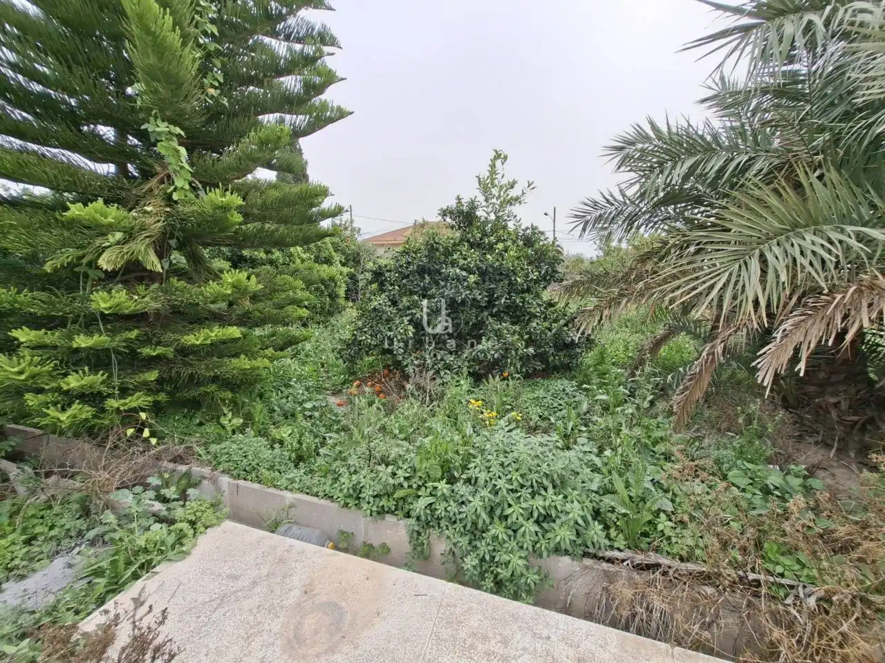 Finca rústica en venda en Murcia amb Aire condicionat, Jardí privat i Piscina