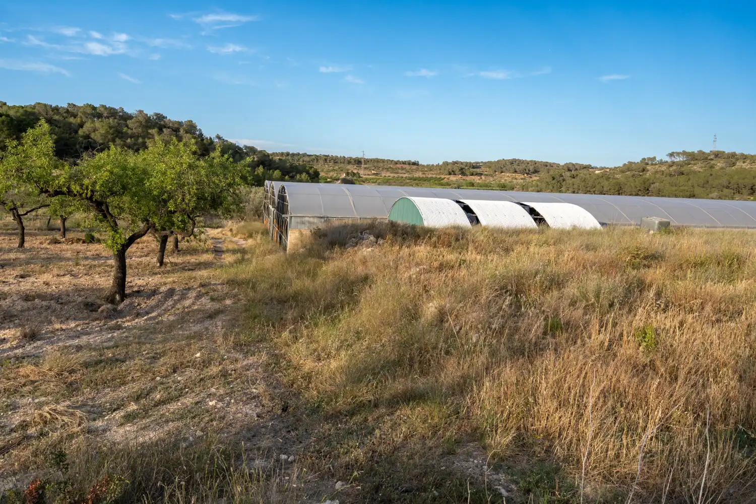 Land for sale in El Pinell de Brai