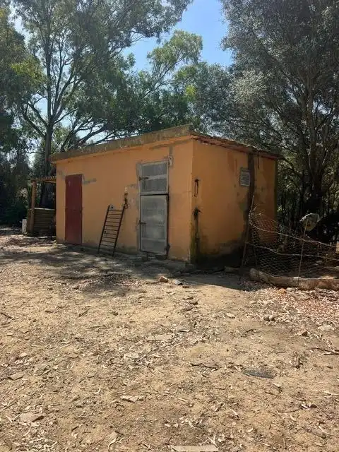 Vista exterior de Finca rústica en venda en Vejer de la Frontera amb Jardí privat