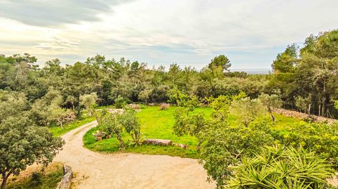 Foto 2 de Finca rústica de alquiler en S'Horta - Cas Concos des Cavaller - Es Carritxó, Felanitx