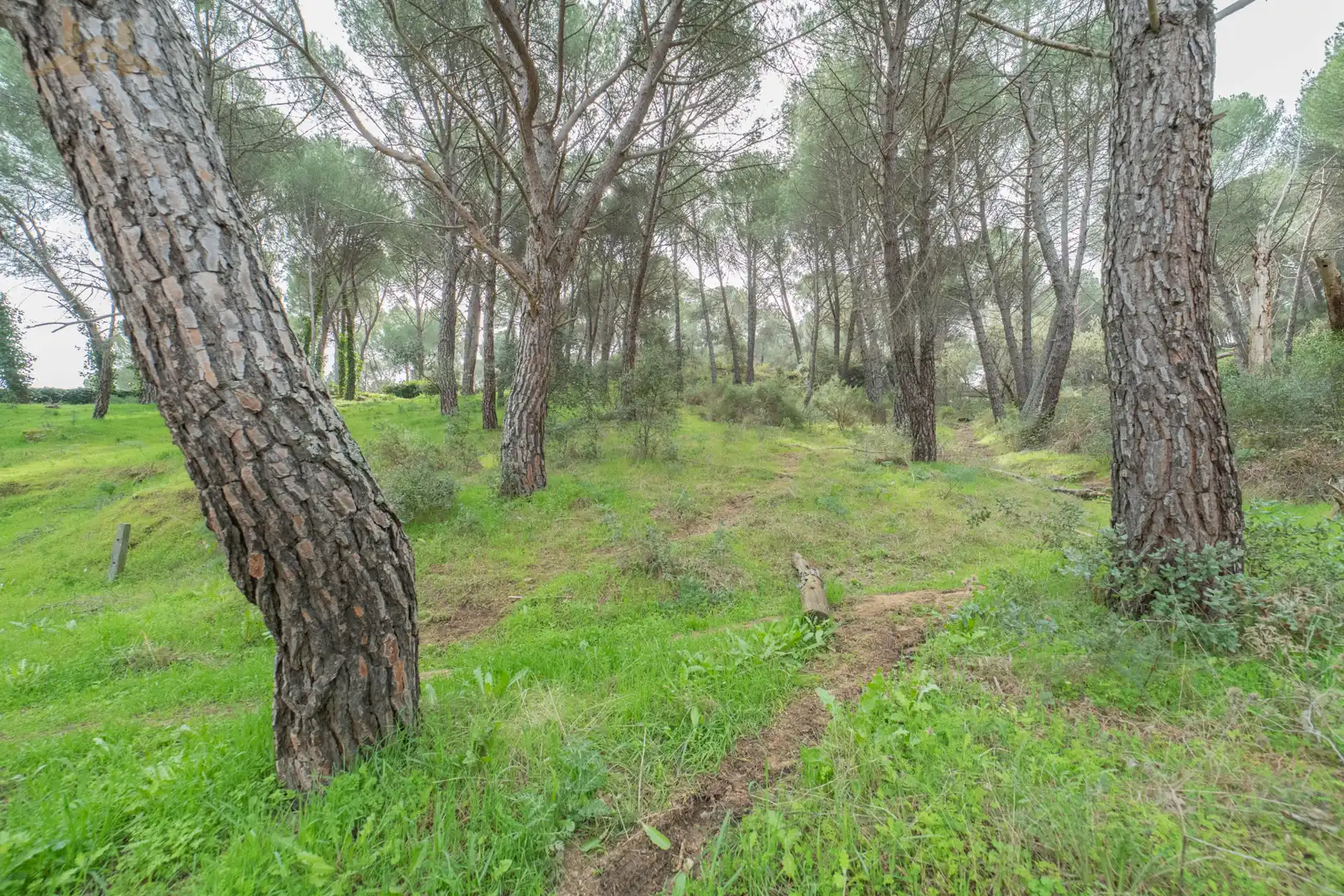 Residencial en venta en San Martín de Valdeiglesias