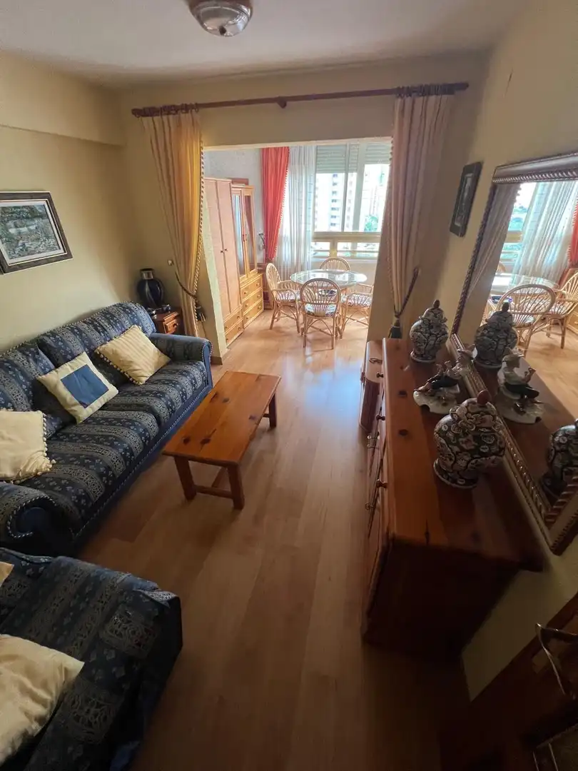 Living room of Flat for sale in Benidorm  with Air Conditioner, Terrace and Furnished