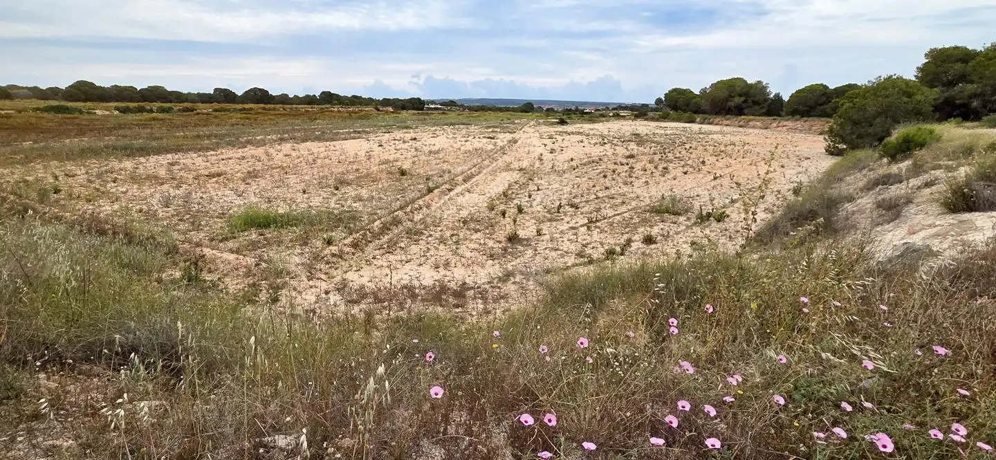 Residencial en venta en Elche / Elx