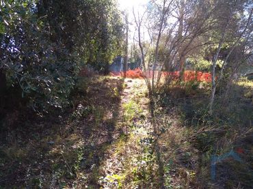 Terreno residenziale in vendita a Calle Rosaleda (Can Canals)