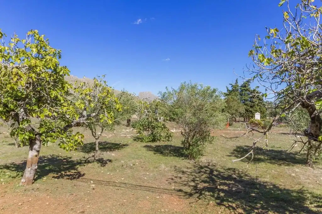 Terrain rustique à vendre à Port de Pollença, imagen 12