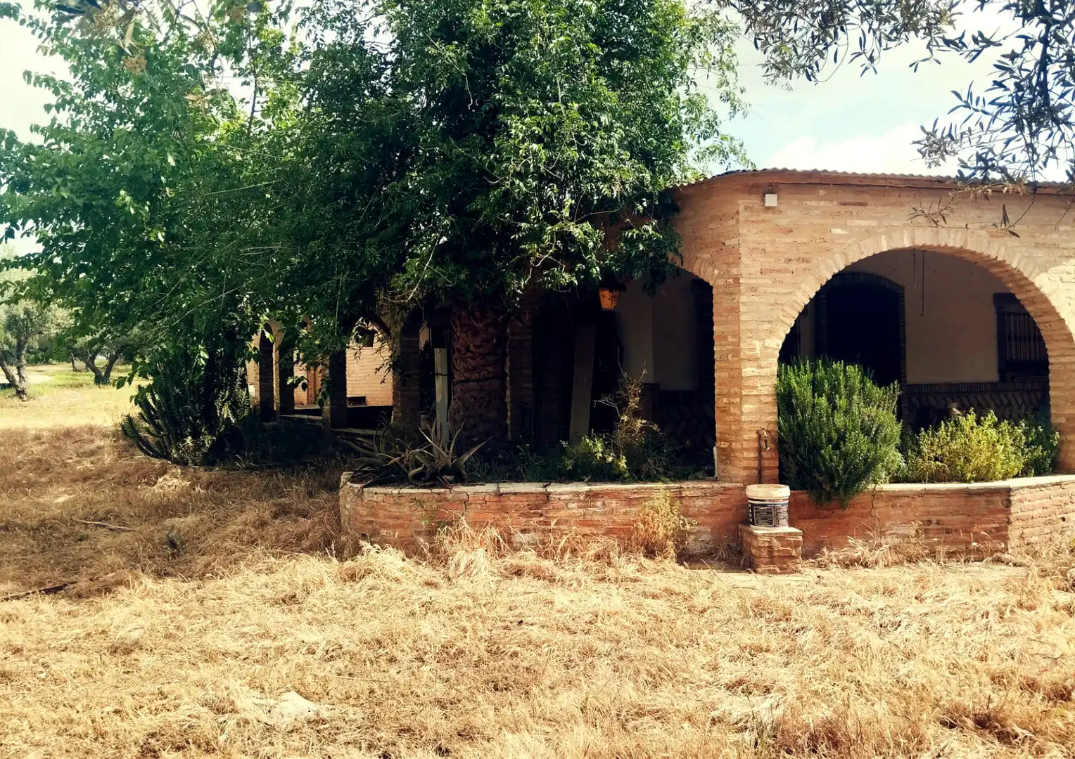 Vista exterior de Finca rústica en venta en La Palma del Condado con Jardín privado, Terraza y Trastero
