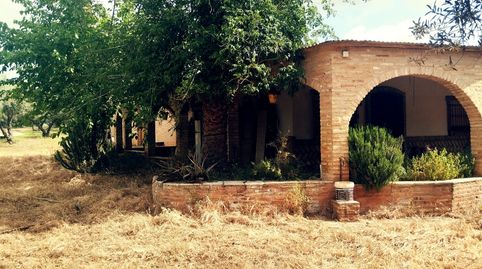 Foto 4 de Finca rústica en venta en Niebla, Huelva