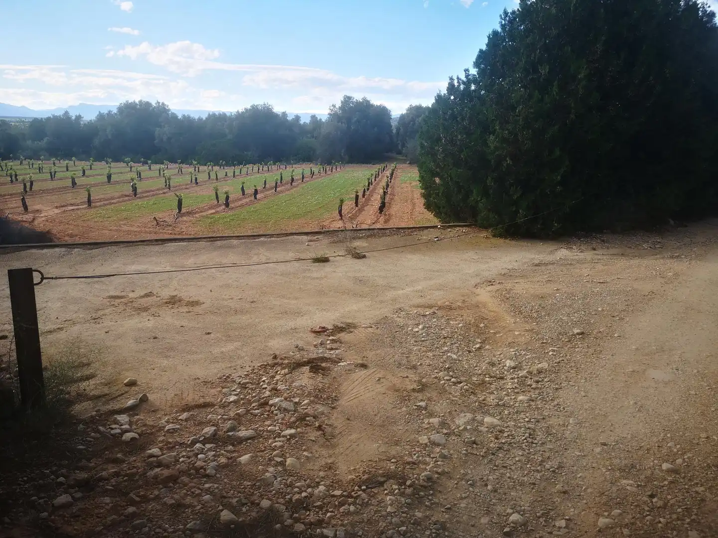 Terreno residenziale in vendita a Ulldecona, imagen 18