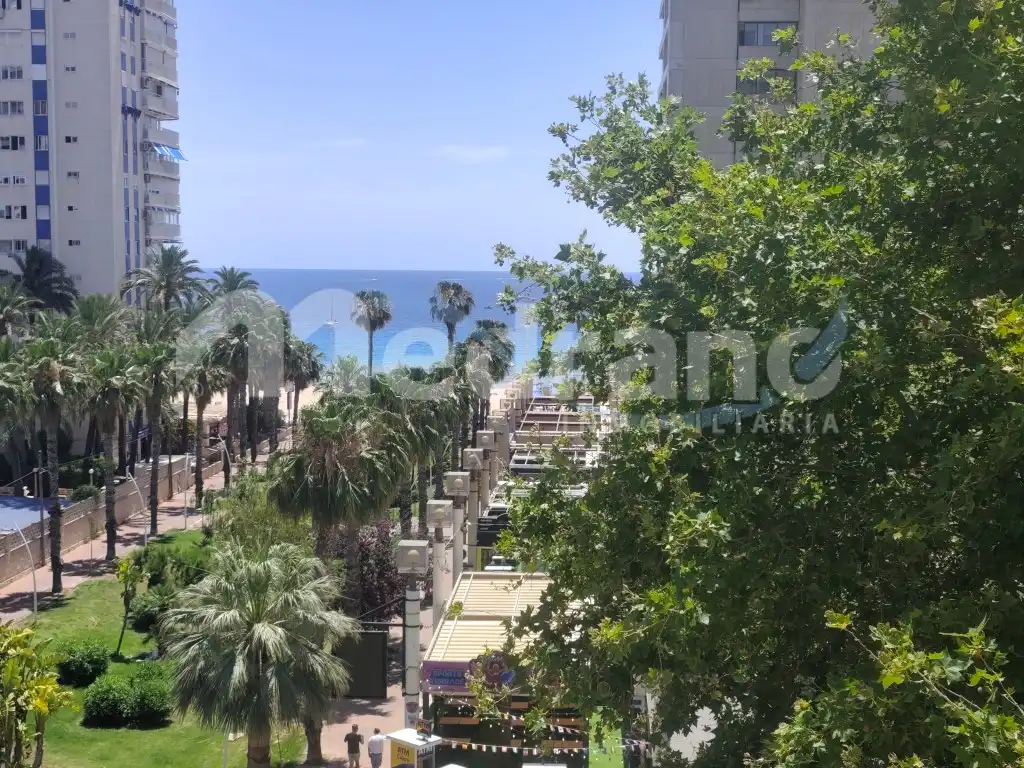 Vista exterior de Apartamento en venta en Benidorm con Aire acondicionado y Terraza