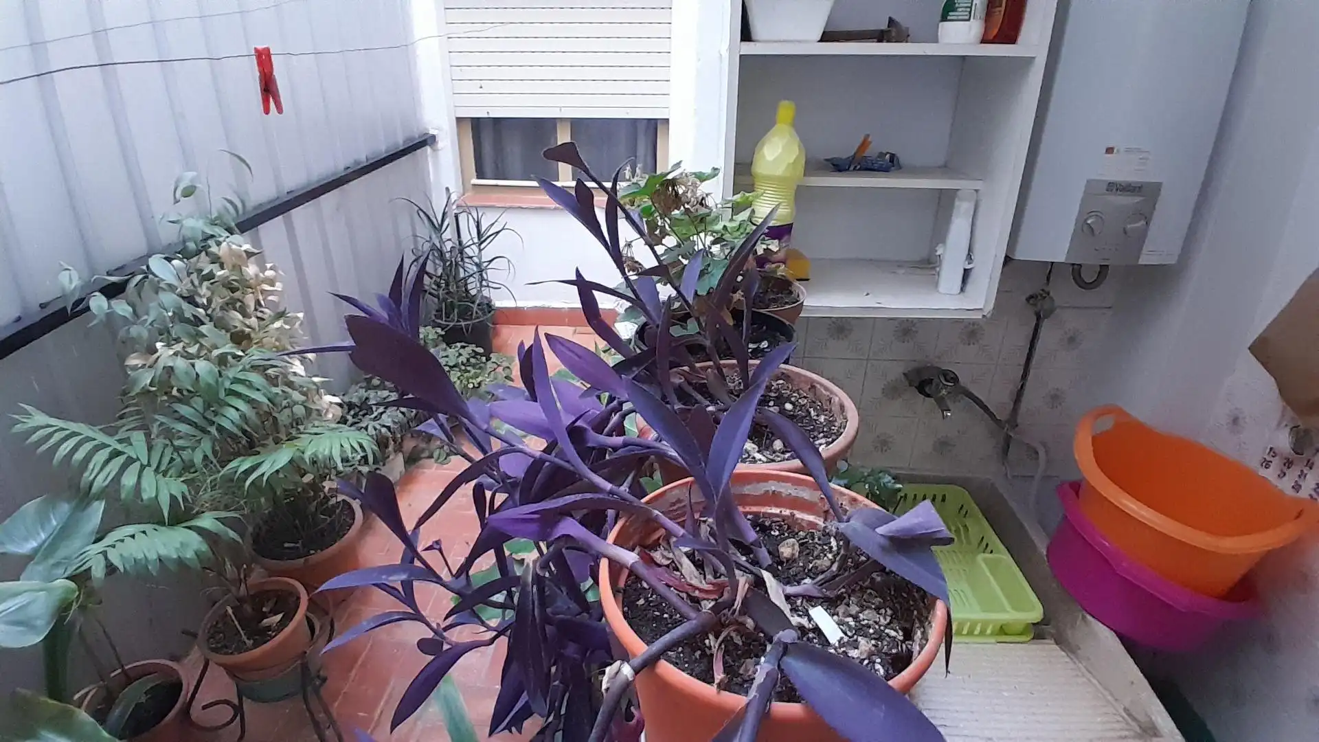 Terraza de Piso en venta en Yecla, Murcia