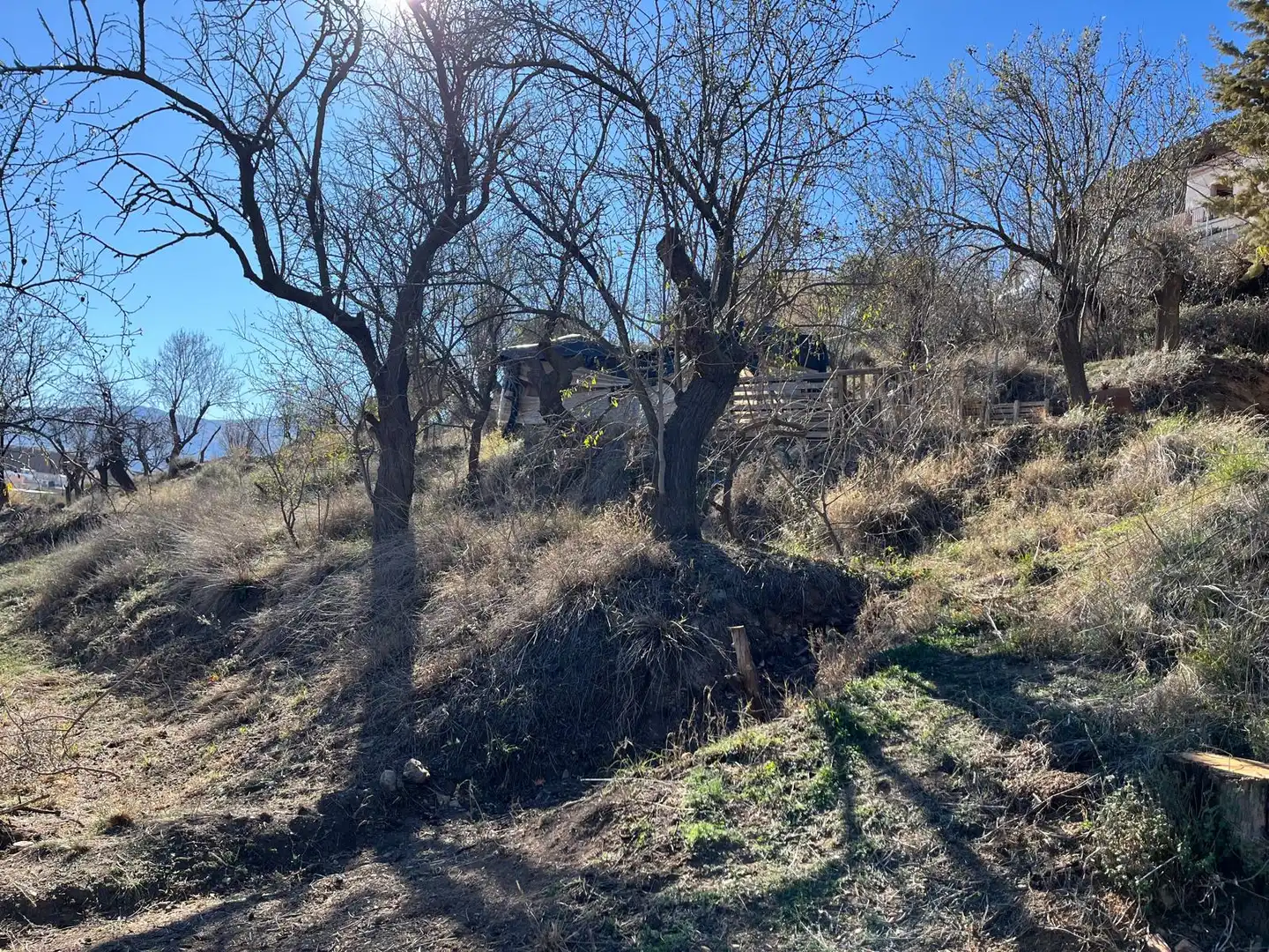 Finca rústica en venda en Fiñana amb Aire condicionat, Jardí privat i Terrassa