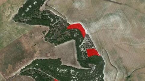 TERRENO CUESTA DE GALLO, POL. 1, PARCELA 5018, SIMANCAS., immagine 5