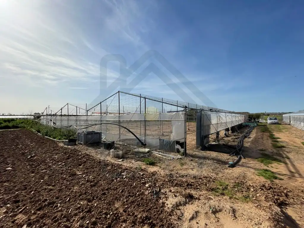 Terreni e lotti in vendita a Pedanías Norte, imagen 3