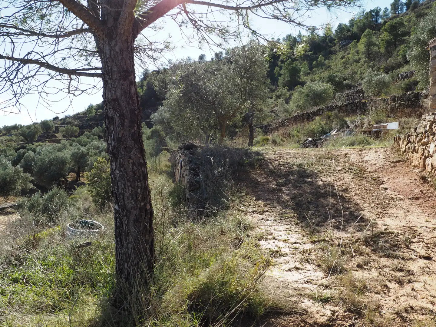 Rustikales Grundstück zum Verkauf in Carretera de Riba-roja, imagen 12