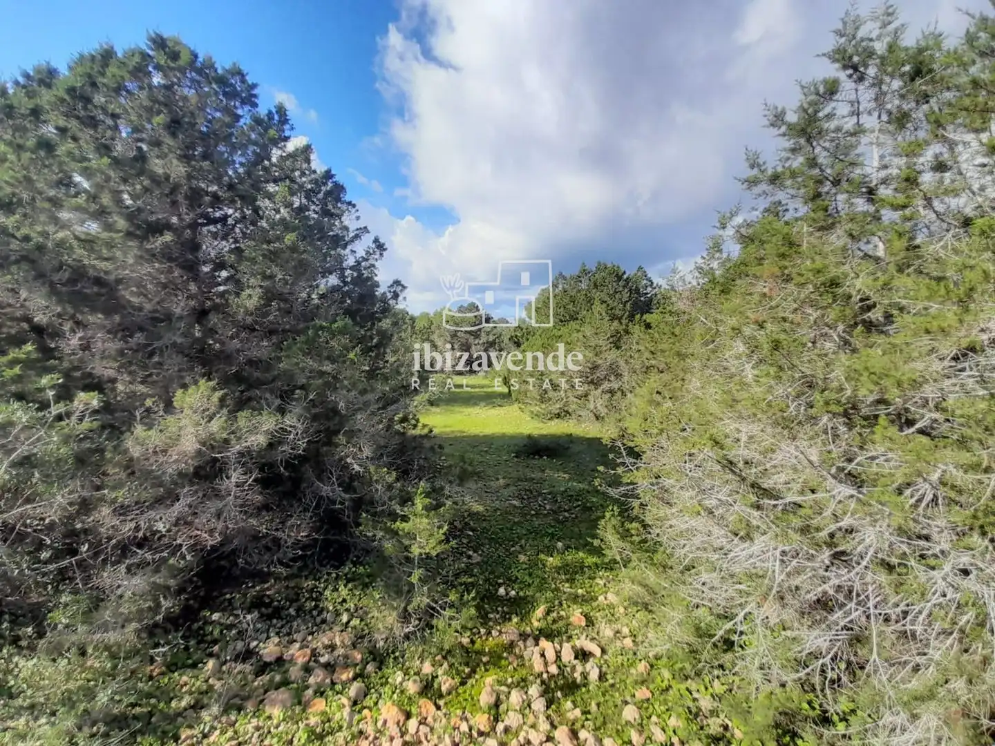 Land for sale in Sant Josep de sa Talaia
