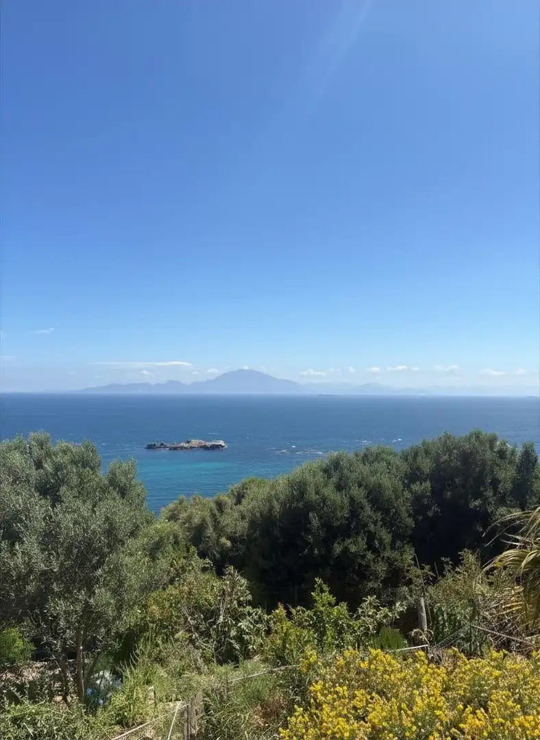 Vista exterior de Casa o chalet en venta en Algeciras con Terraza, Trastero y Balcón