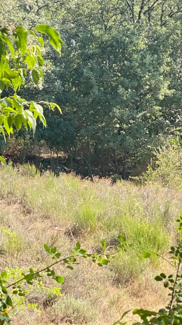 Terreni e lotti in vendita a Gargüera, imagen 4