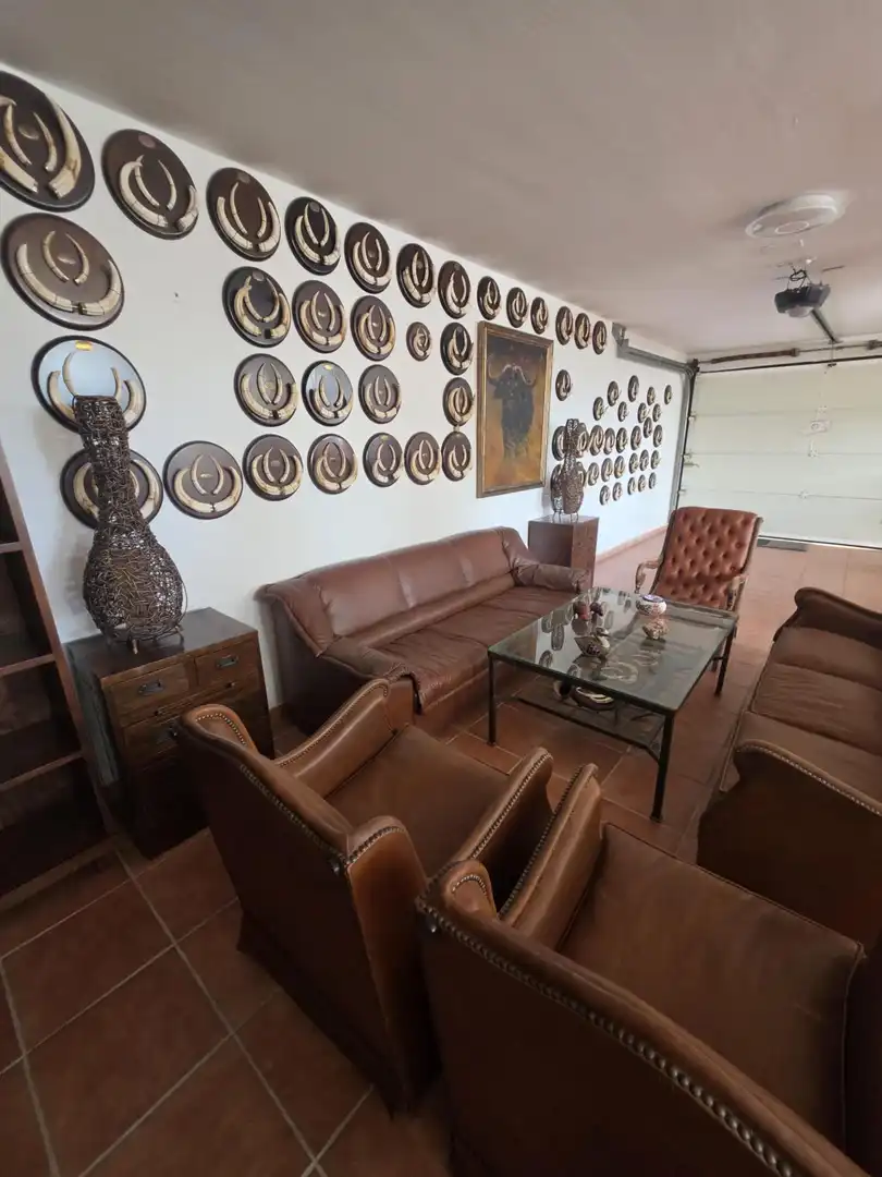 Sala de estar de Casa o chalet en venta en Casares