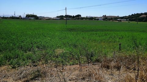 ¡ ¡ ¡ ¡ ¡ OPORTUNIDAD  A 10 MINUTOS DE JEREZ  ! ! ! ! !, imatge 2