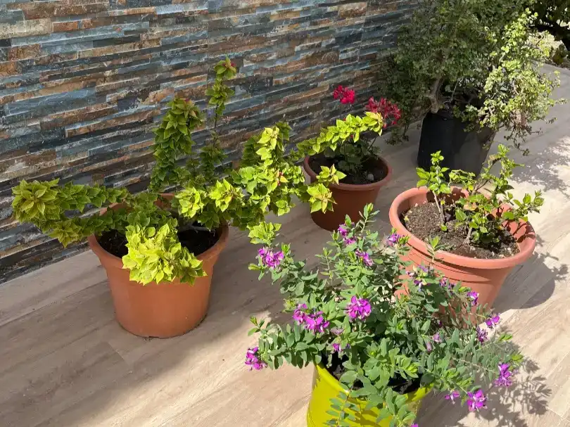 Terraza de Casa o chalet en venta en Mazarrón con Aire acondicionado, Piscina y Balcón