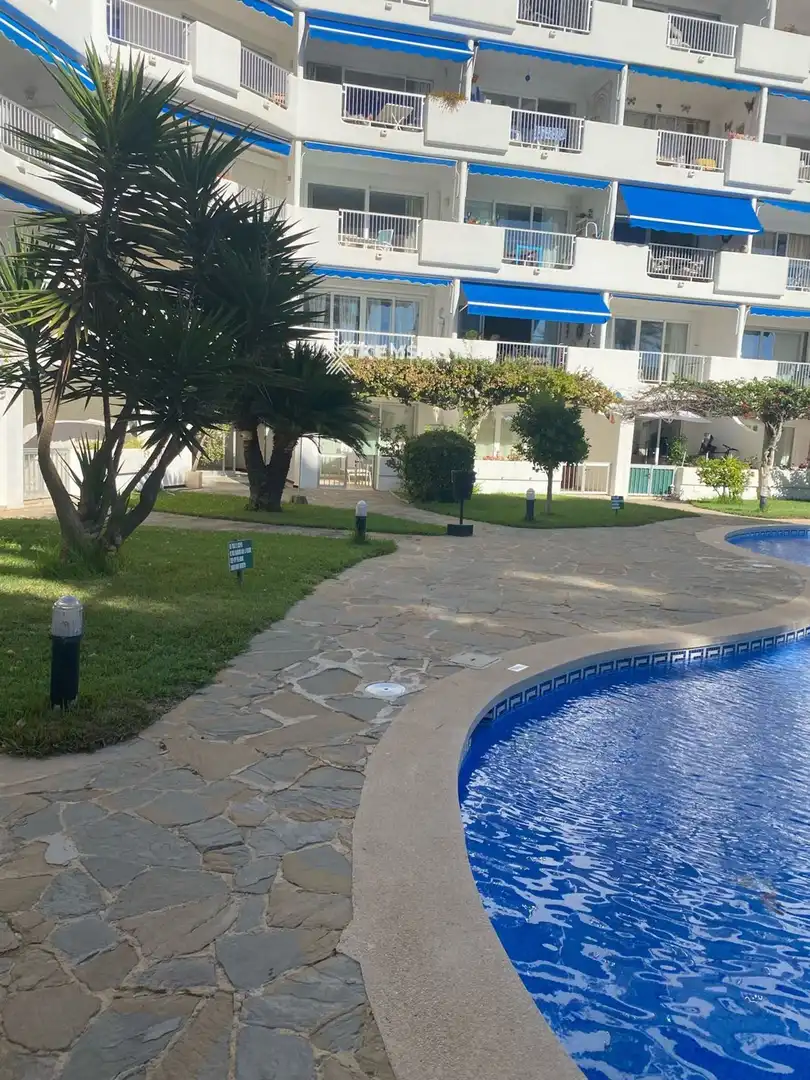 Swimming pool of Flat for rent in Calvià  with Air Conditioner, Terrace and Swimming Pool