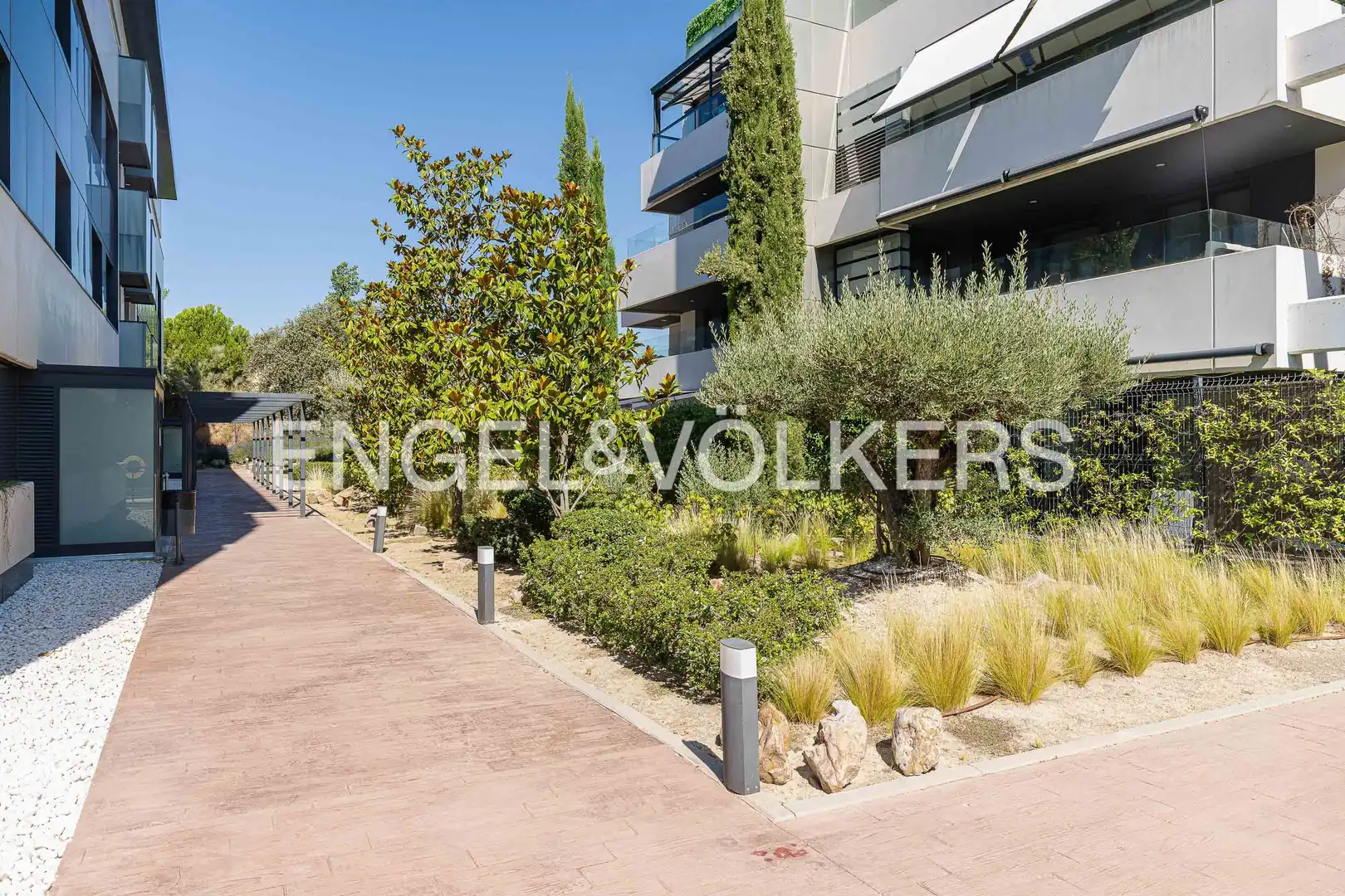 Appartamento con piscina in affitto a Sector B, imagen 36