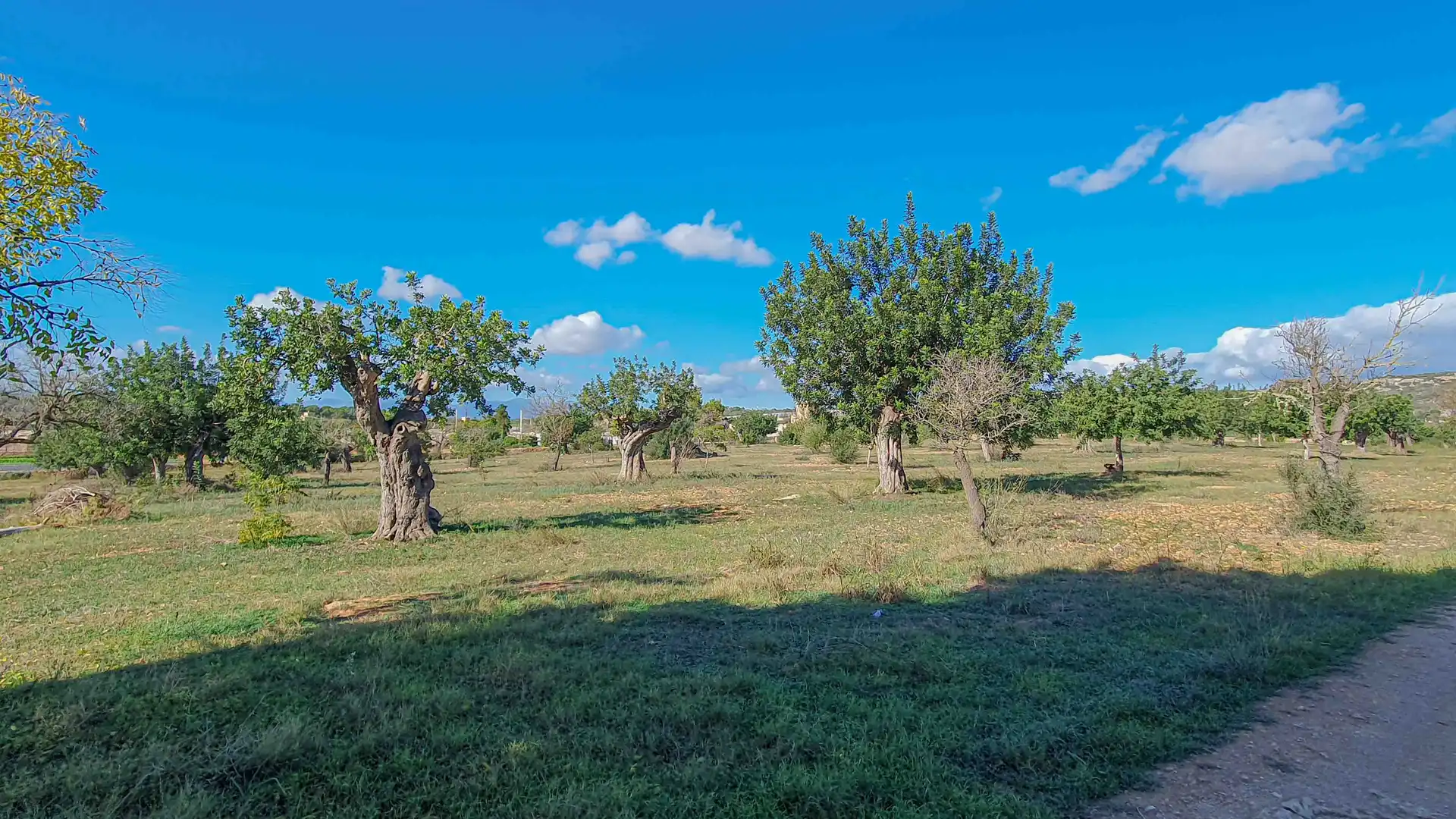 Finca rústica en venda en  Palma de Mallorca amb Jardí privat, Terrassa i Traster