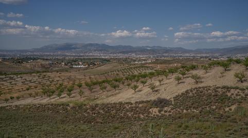 Foto 4 de Terreno en venta en  Alhendín, Ayuntamiento, Alhendín