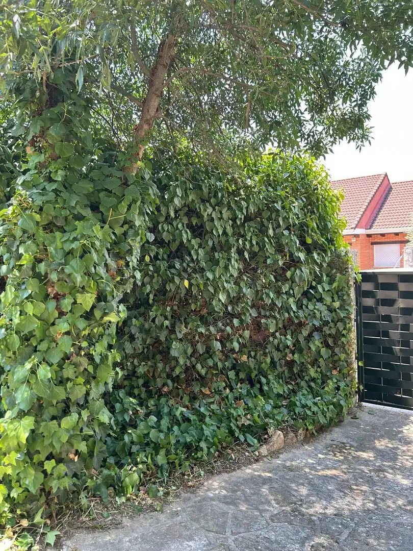 Jardín de Casa o chalet en venta en Colmenarejo con Calefacción, Jardín privado y Terraza