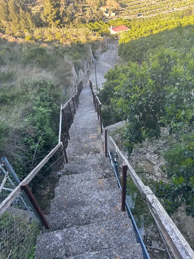Vista exterior de Finca rústica en venda en Oliva amb Moblat