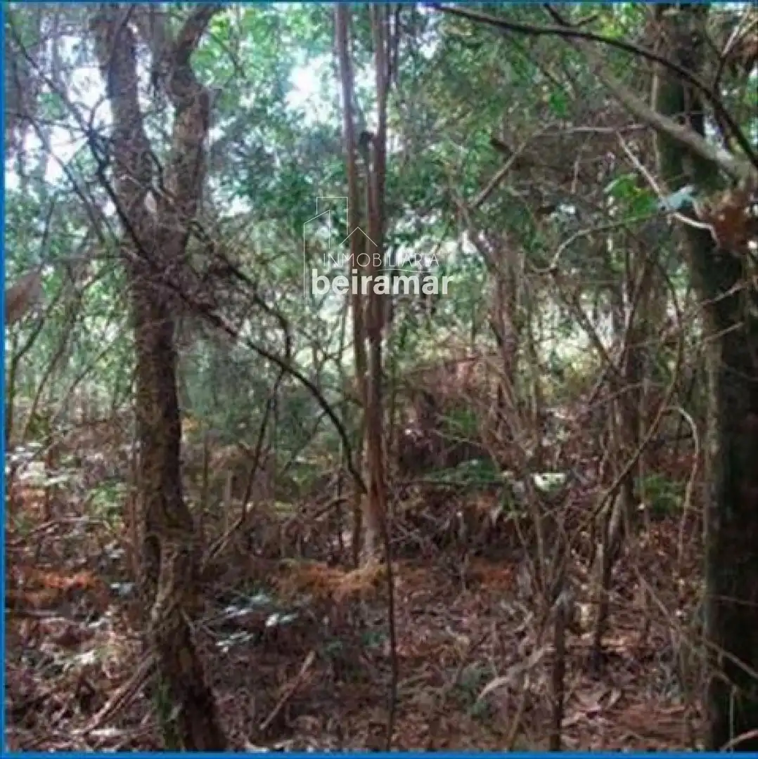Terreno rustico in vendita a PORTOCHOUZO, imagen 4